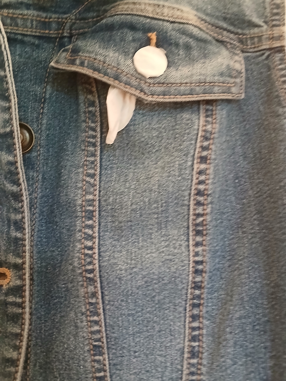 Denim Vest - Picture 4 of 5